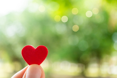 Hand hold little heart meaning feel love with green nature bokeh background