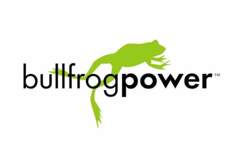 bullfrog power logo