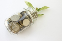 Coins inside a glass jar with a small green plant sprouting